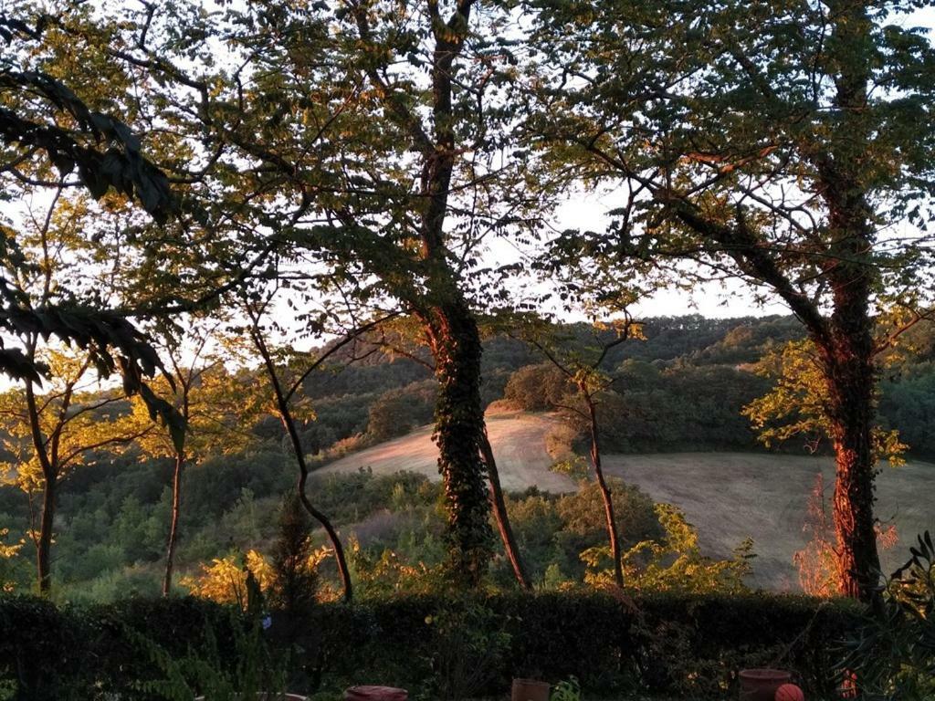 Domaine De Courbieres Hotel Laurac Exterior photo